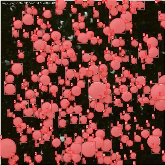 thumbnail for publication: How AI Can Analyze Images: An Introductory Case Study Using Mushroom Detection